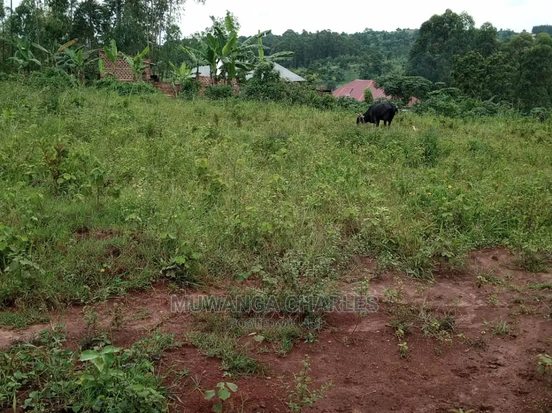 100by50ft Plot for Sale at Kiwend in Central Division