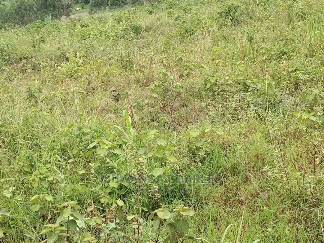 100by50ft Plot for Sale at Kiwend in Central Division