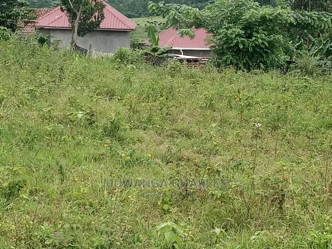 100by50ft Plot for Sale at Kiwend in Central Division