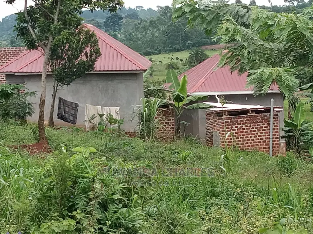 100by50ft Plot for Sale at Kiwend in Central Division