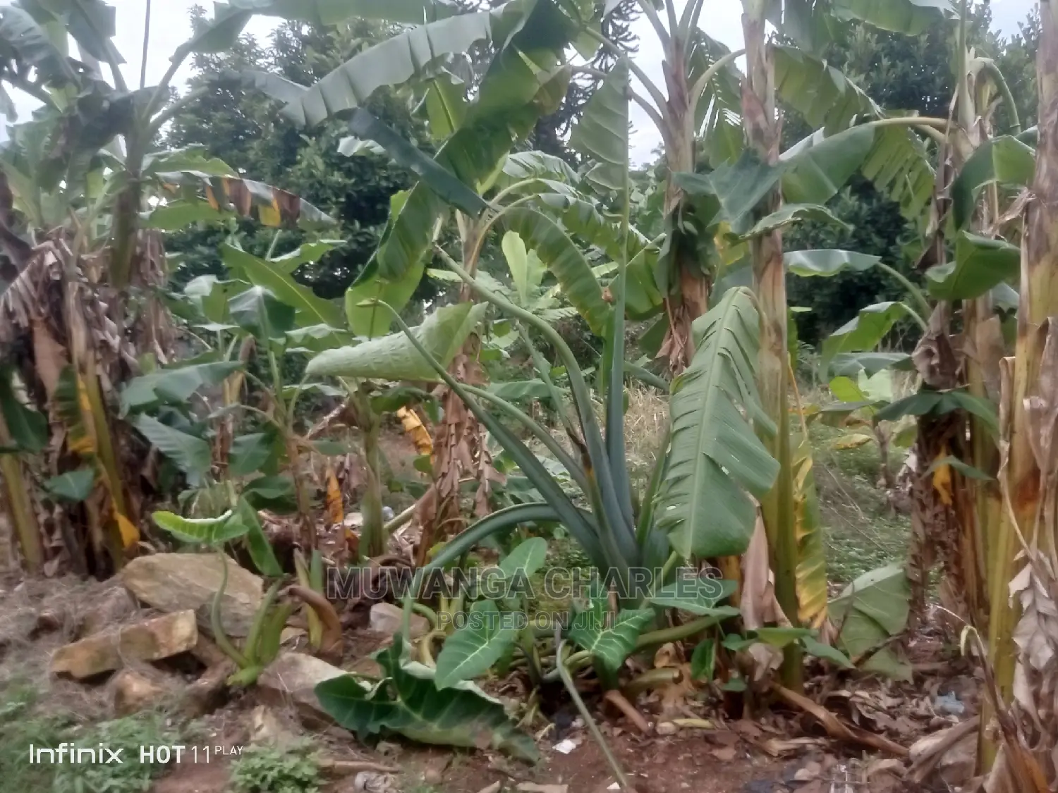 Commercial Plot for Sale at Bukoto in Central Division