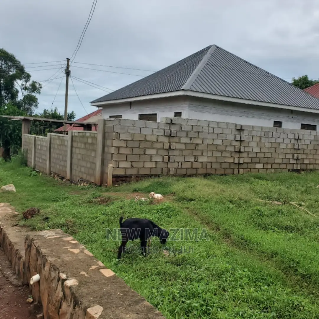 Affordable Plot on Quicksale in Heart of Seguku Ntebe Rd in Central Division