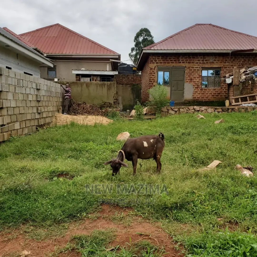 Affordable Plot on Quicksale in Heart of Seguku Ntebe Rd in Central Division