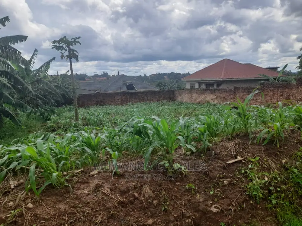 50decimals Plot of Land for Sale at Kungu in Central Division