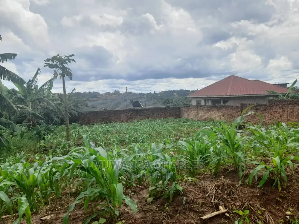 50decimals Plot of Land for Sale at Kungu in Central Division