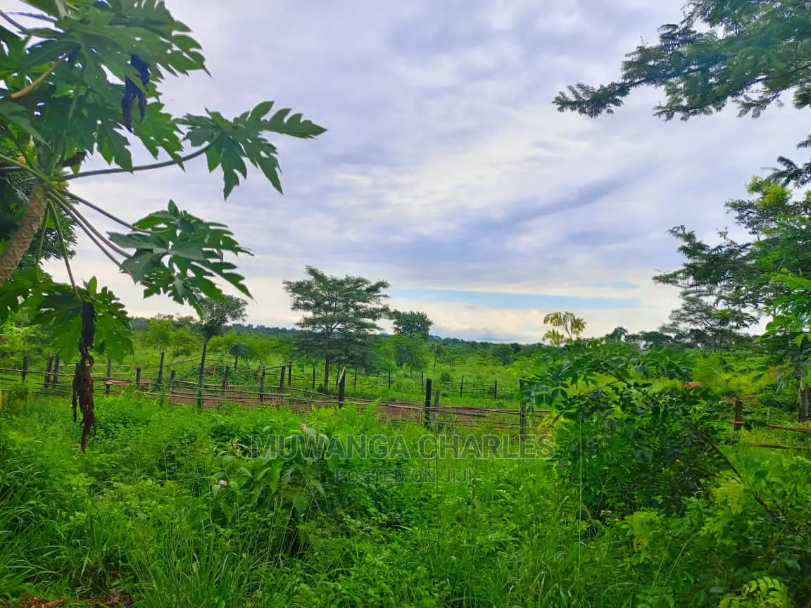 1acre of Land for Sale at Zirobwe in Central Division