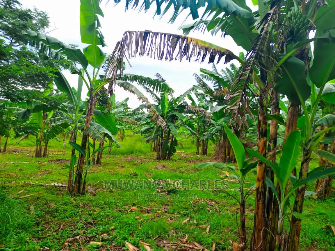 1acre of Land for Sale at Zirobwe in Central Division