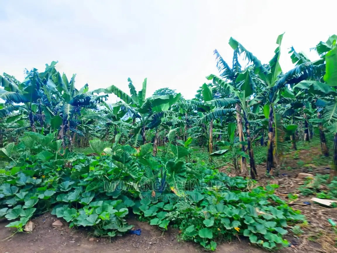 1acre of Land for Sale at Zirobwe in Central Division