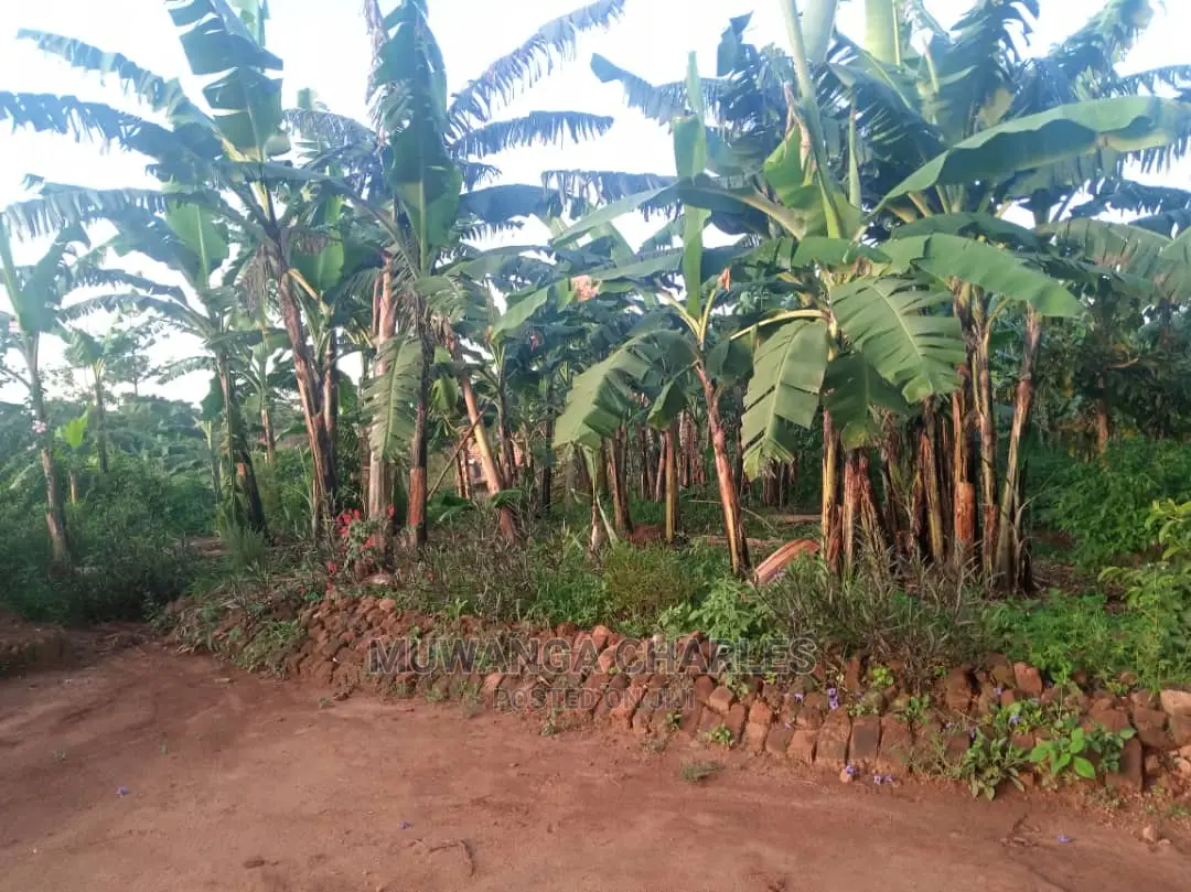 12decimals of Land for Sale at Gayaza Nakwero in Central Division