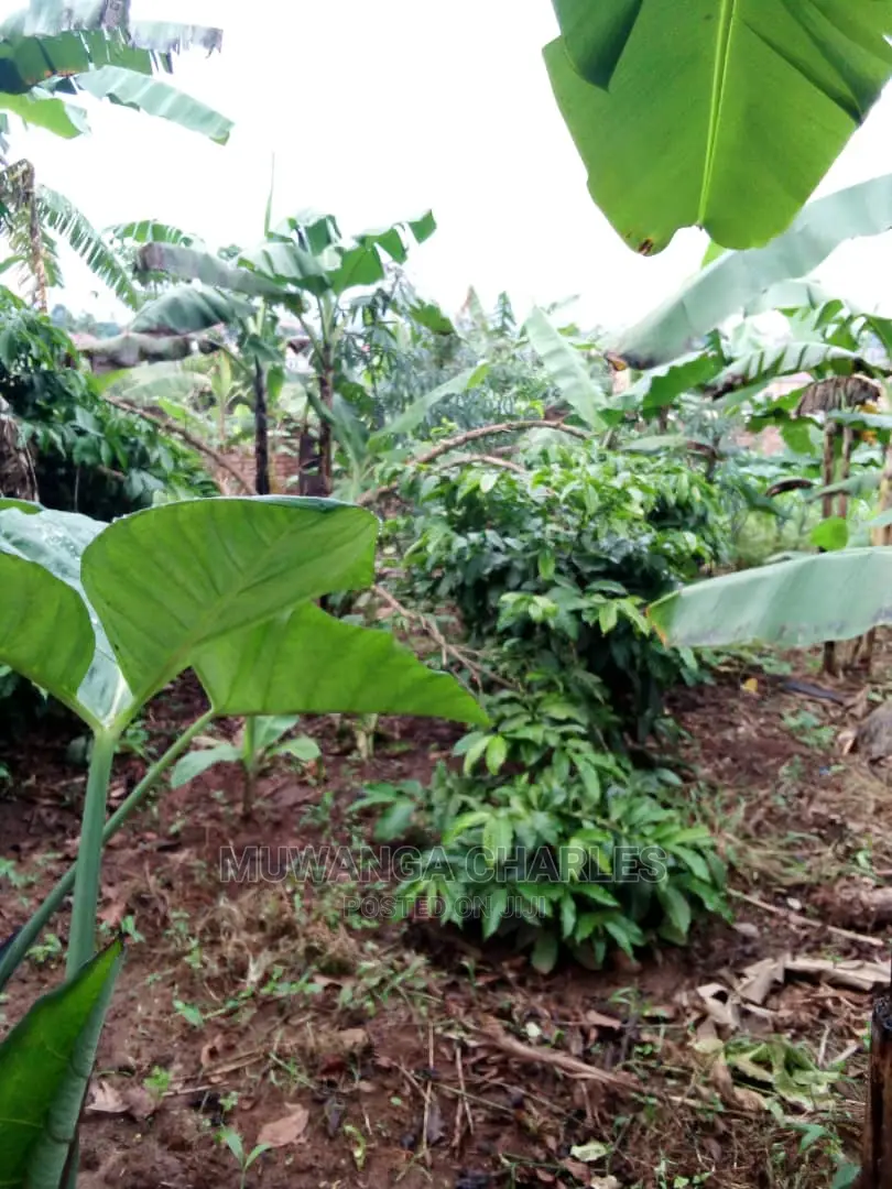 2acres of Land Available for Sale at Kikyusa in Central Division