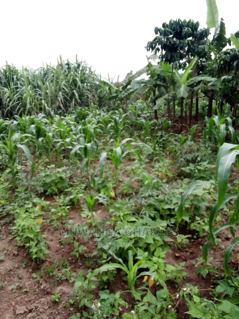 2acres of Land Available for Sale at Kikyusa in Central Division