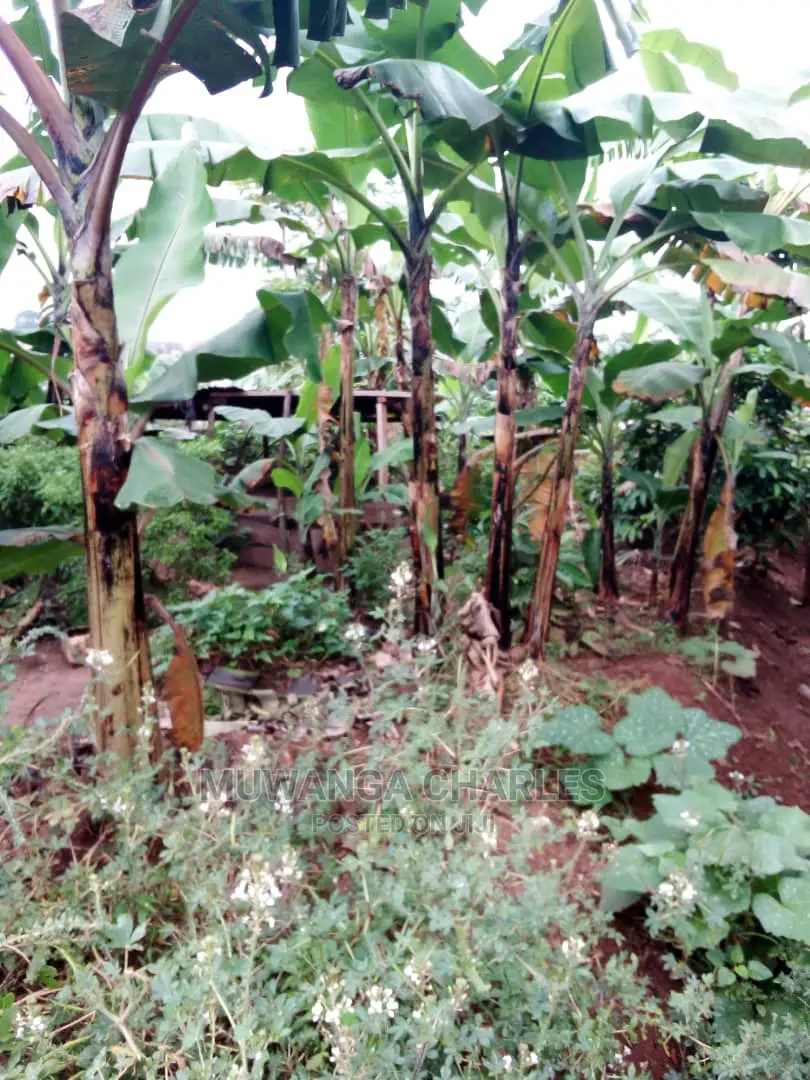 2acres of Land Available for Sale at Kikyusa in Central Division