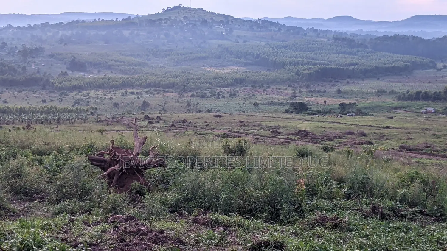 Kakiri -Titled Nsimba Estate Along Hoima Road in Wakiso / Wakiso