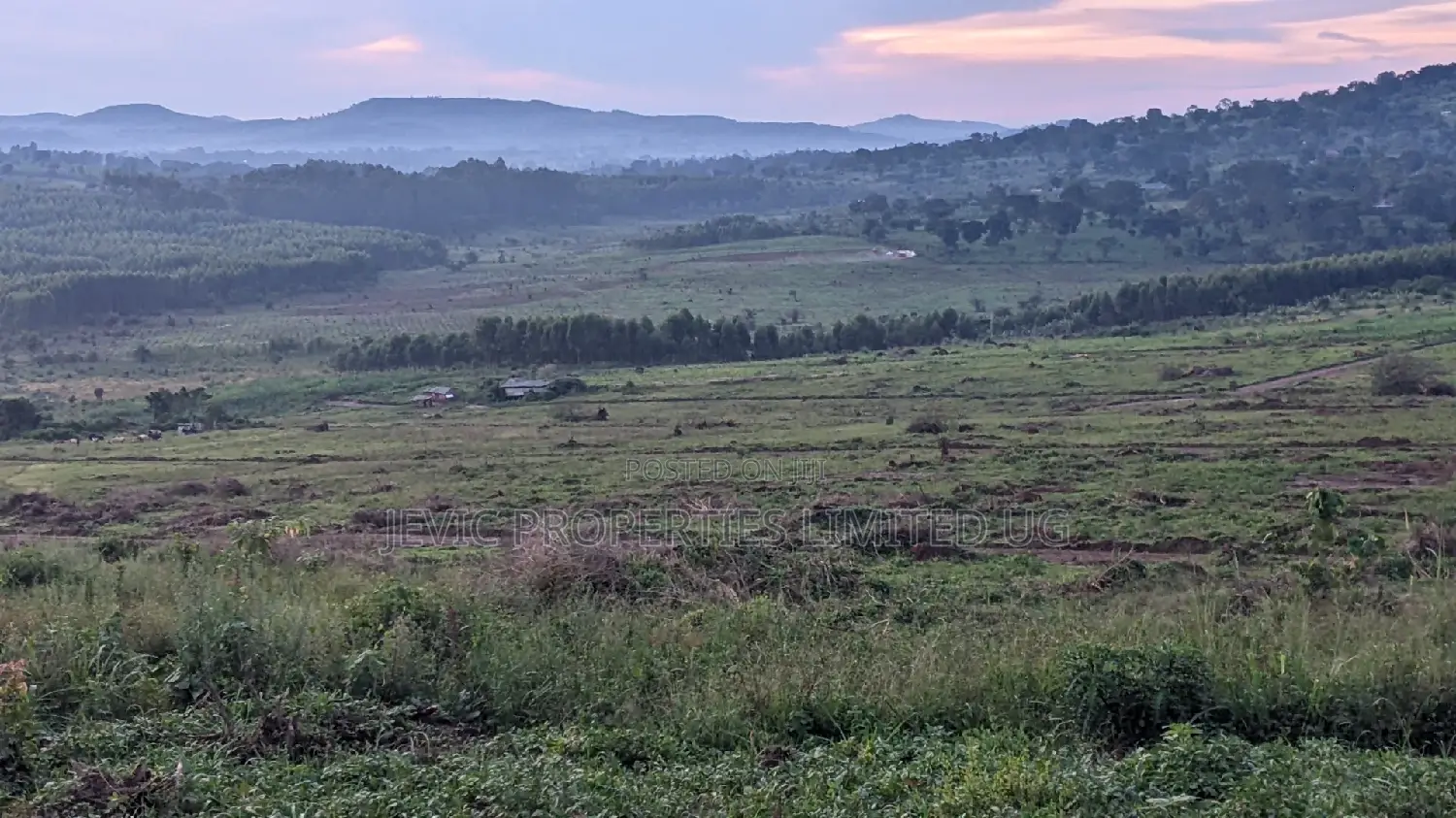 Kakiri -Titled Nsimba Estate Along Hoima Road in Wakiso / Wakiso