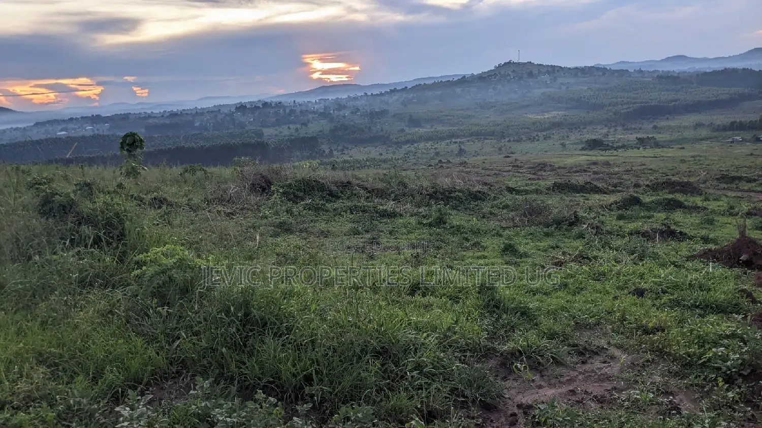 Nsimba Estate in Wakiso / Wakiso