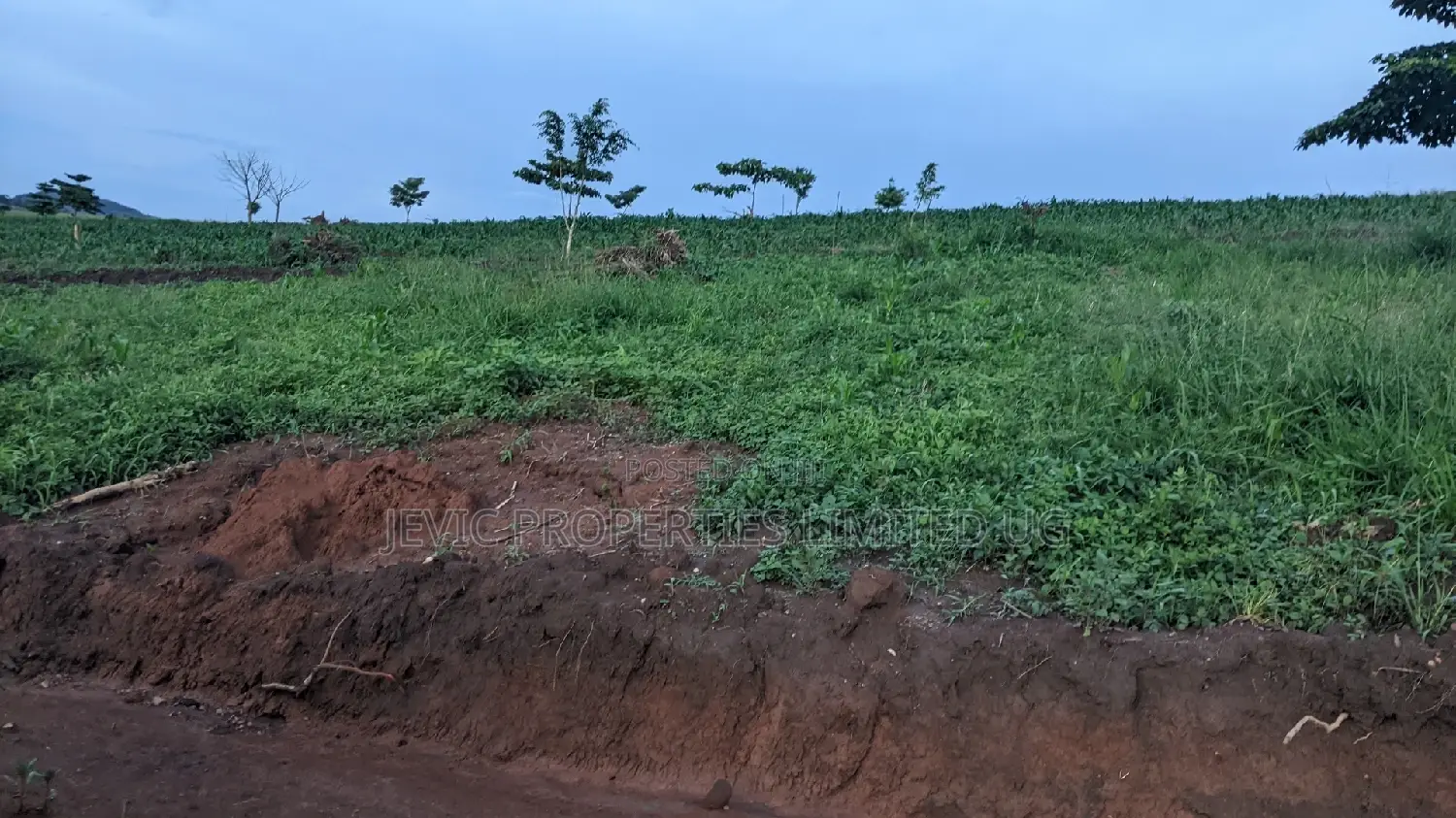The Well Planned Nsimba Estate in Wakiso / Wakiso