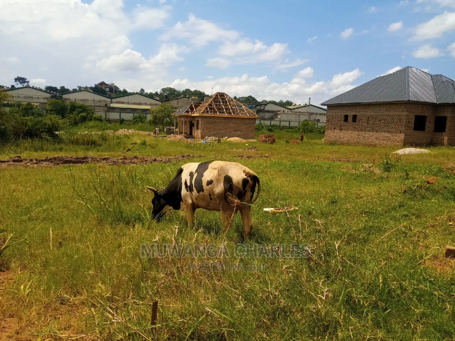 Plot for Sale at Busika Kalungu in Kalagala