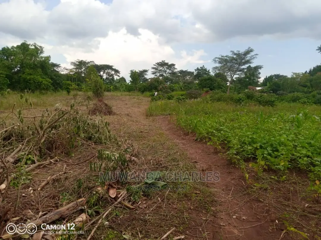 12decimals Plot of Land Available for Sale at Busukuma in Busukuma