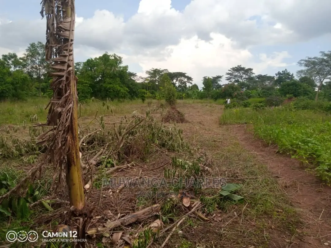 12decimals Plot of Land Available for Sale at Busukuma in Busukuma