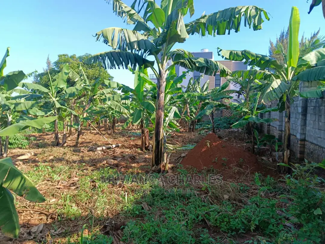 12decimals Plot Available for Sale at Kira Kimwanyi in Central Division