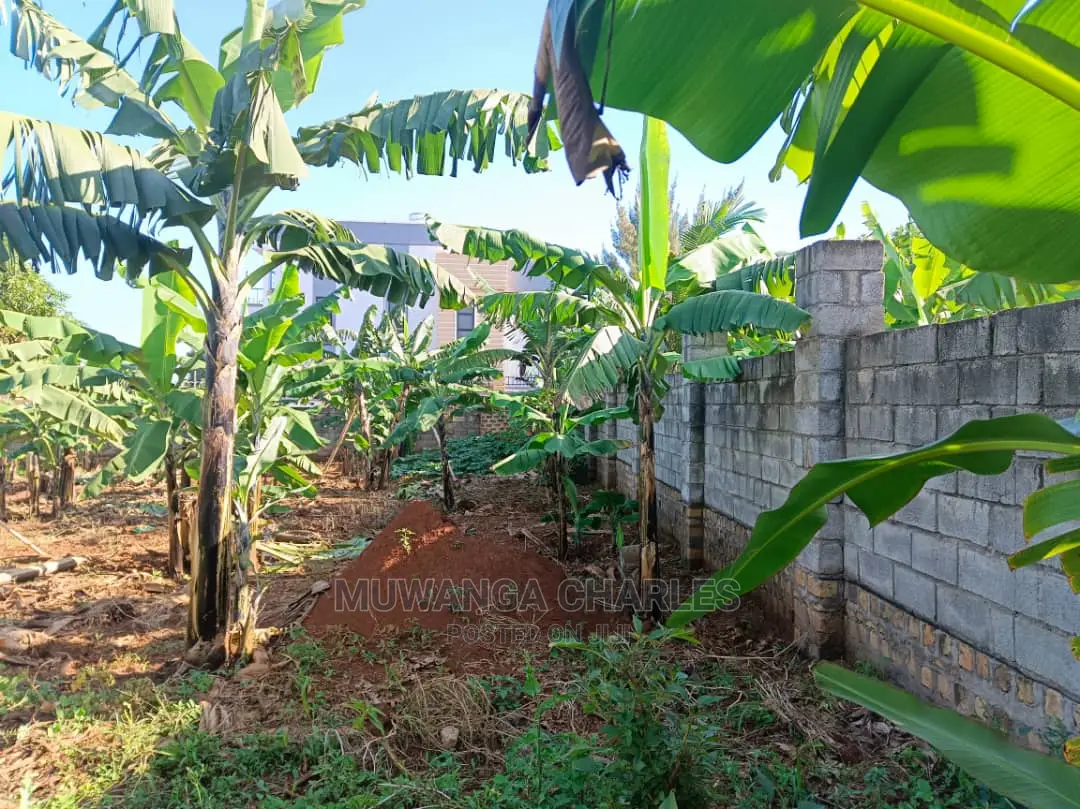 12decimals Plot Available for Sale at Kira Kimwanyi in Central Division