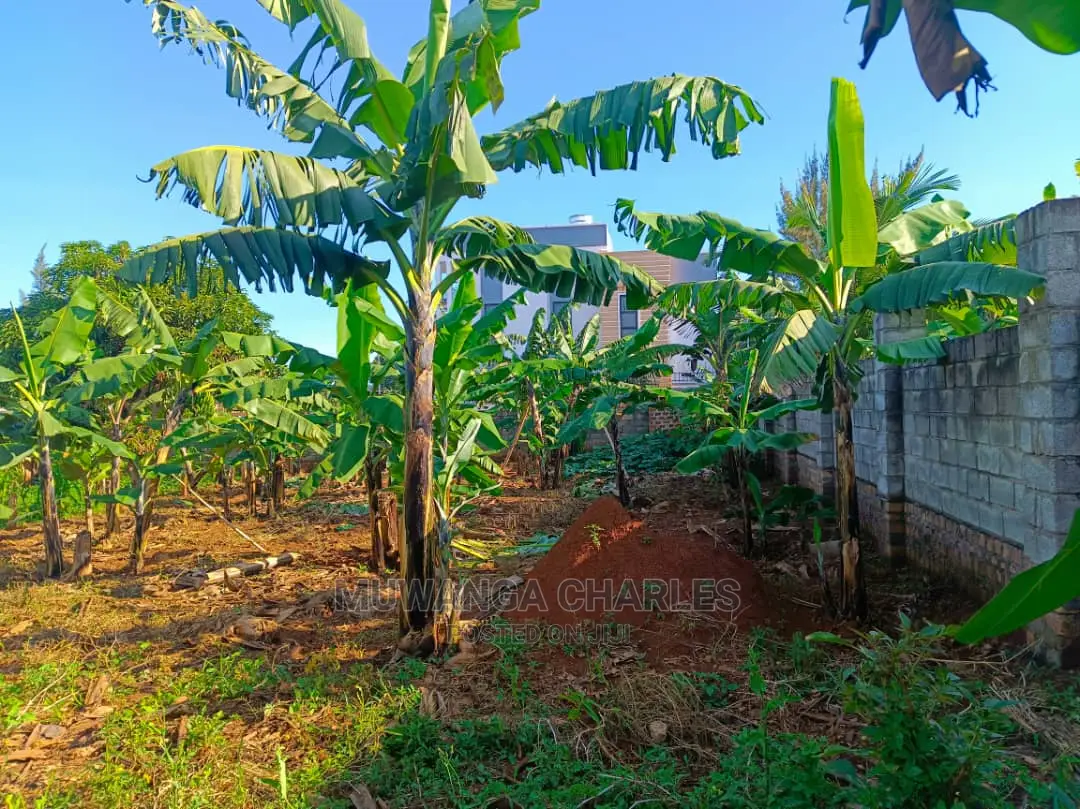 12decimals Plot Available for Sale at Kira Kimwanyi in Central Division