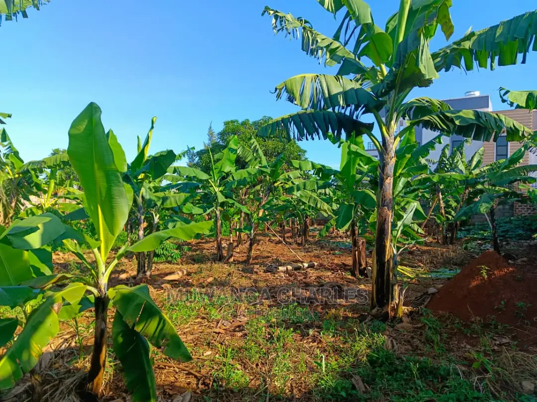 12decimals Plot Available for Sale at Kira Kimwanyi in Central Division