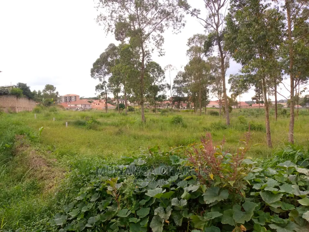 12decimals Plot Available for Sale at Buwate in Central Division