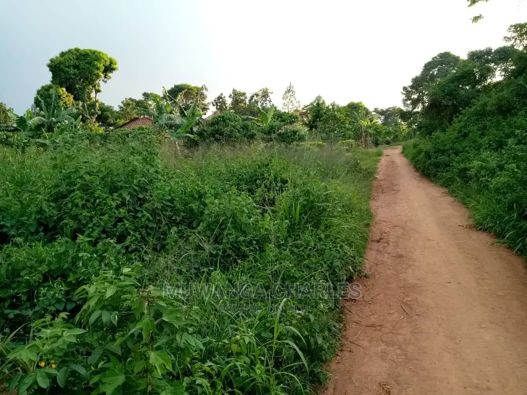 6acres of Land for Sale at Luwero in Central Division