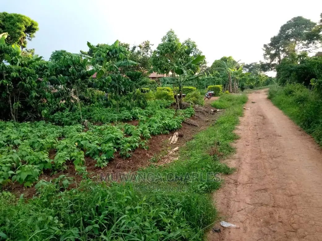 6acres of Land for Sale at Luwero in Central Division