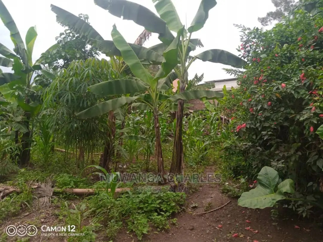 12decimals for Sale at Kira Kitukutwe in Central Division