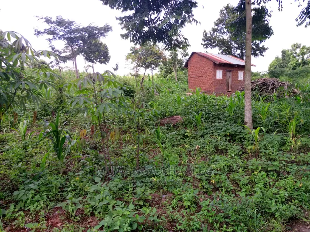 Plots Available for Sale at Kira in Central Division