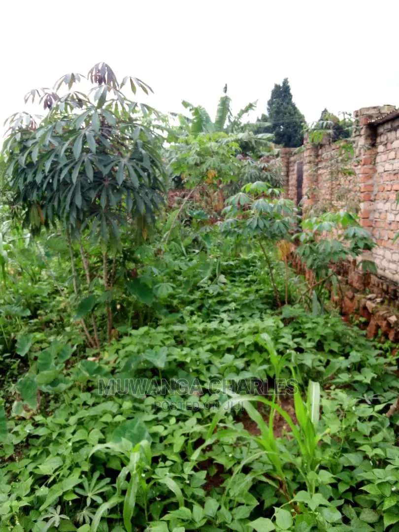 25decimals Plot Available for Sale at Kira Kimwanyi in Central Division
