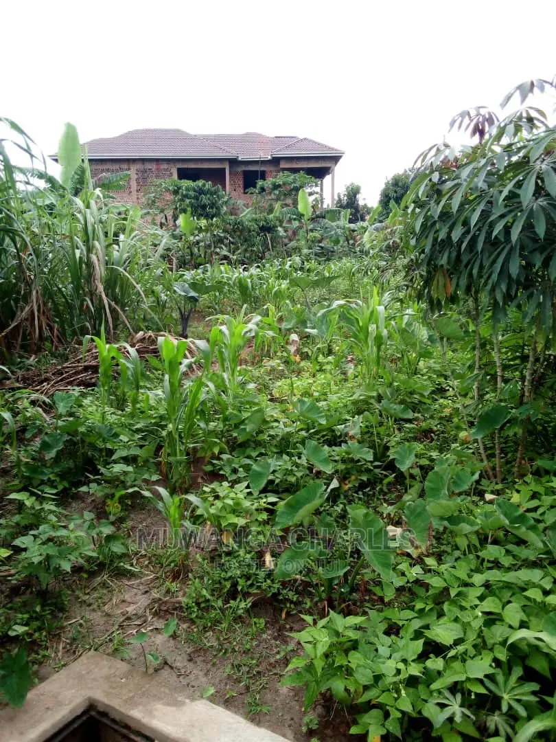 25decimals Plot Available for Sale at Kira Kimwanyi in Central Division