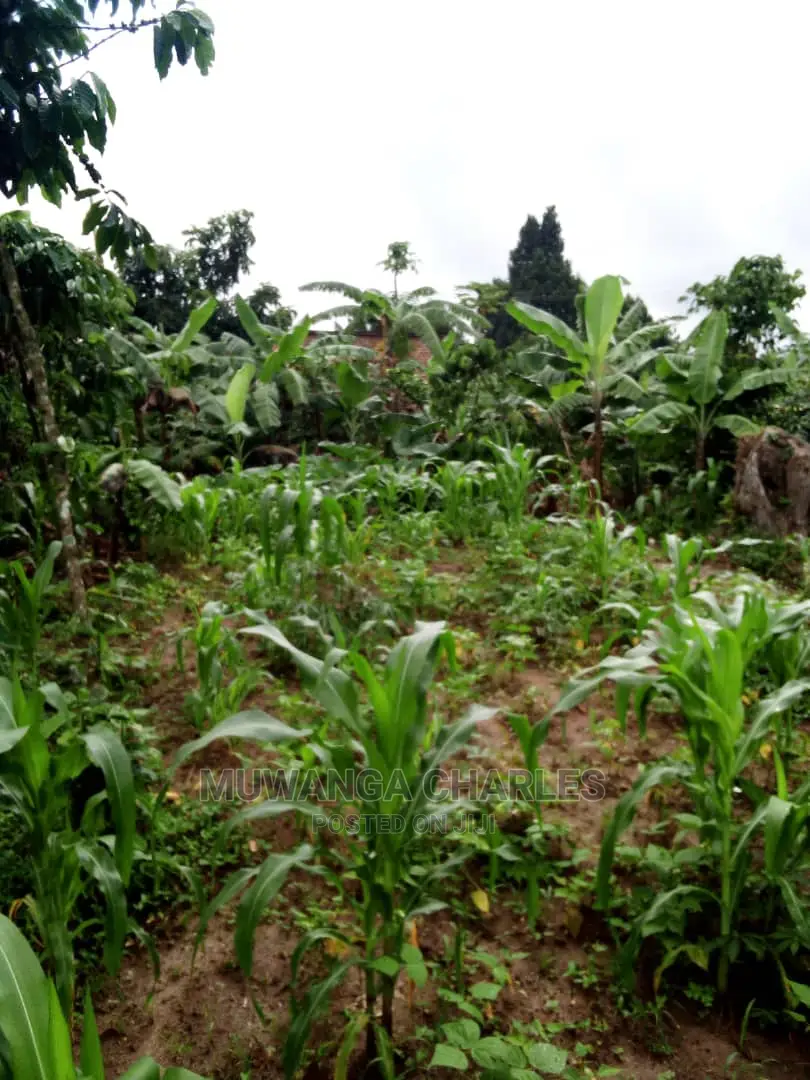 25decimals Plot Available for Sale at Kira Kimwanyi in Central Division