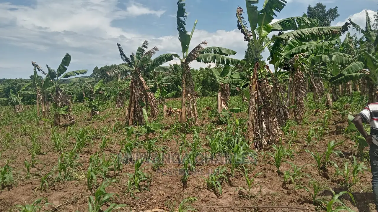 10acres of Land for Sale at Luwero in Central Division