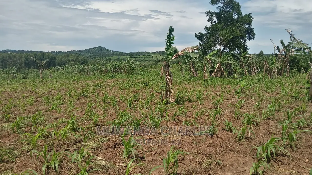 10acres of Land for Sale at Luwero in Central Division