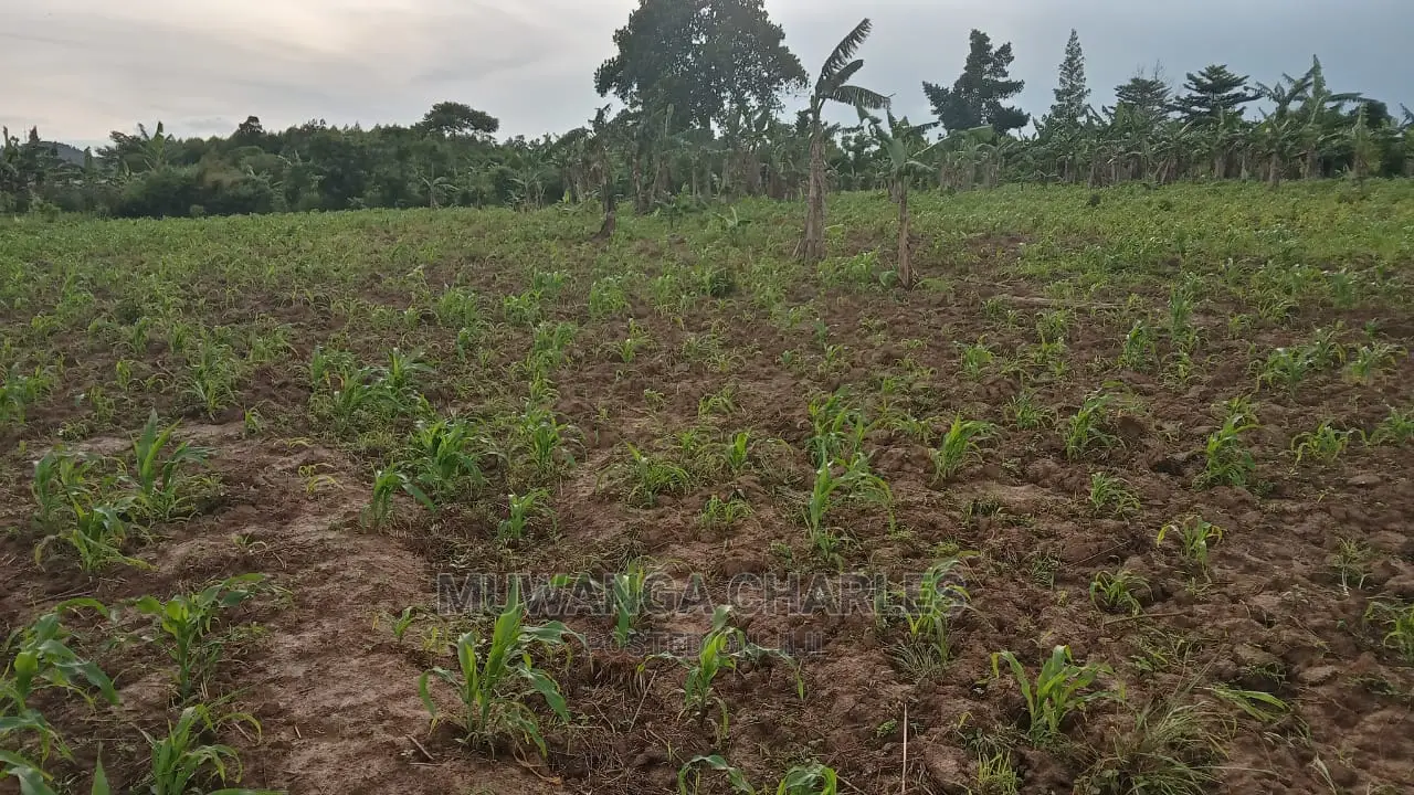 10acres of Land for Sale at Luwero in Central Division