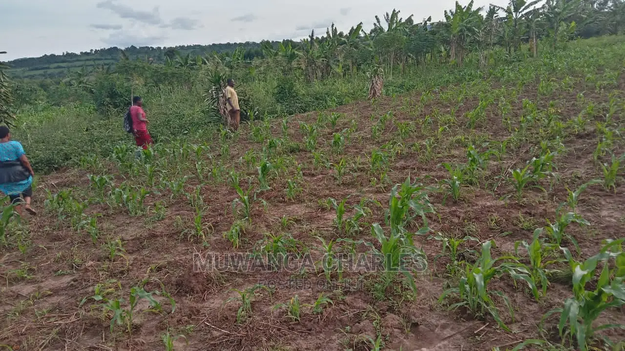 10acres of Land for Sale at Luwero in Central Division