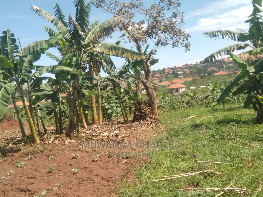 25decimals Plot for Sale at Kungu in Central Division