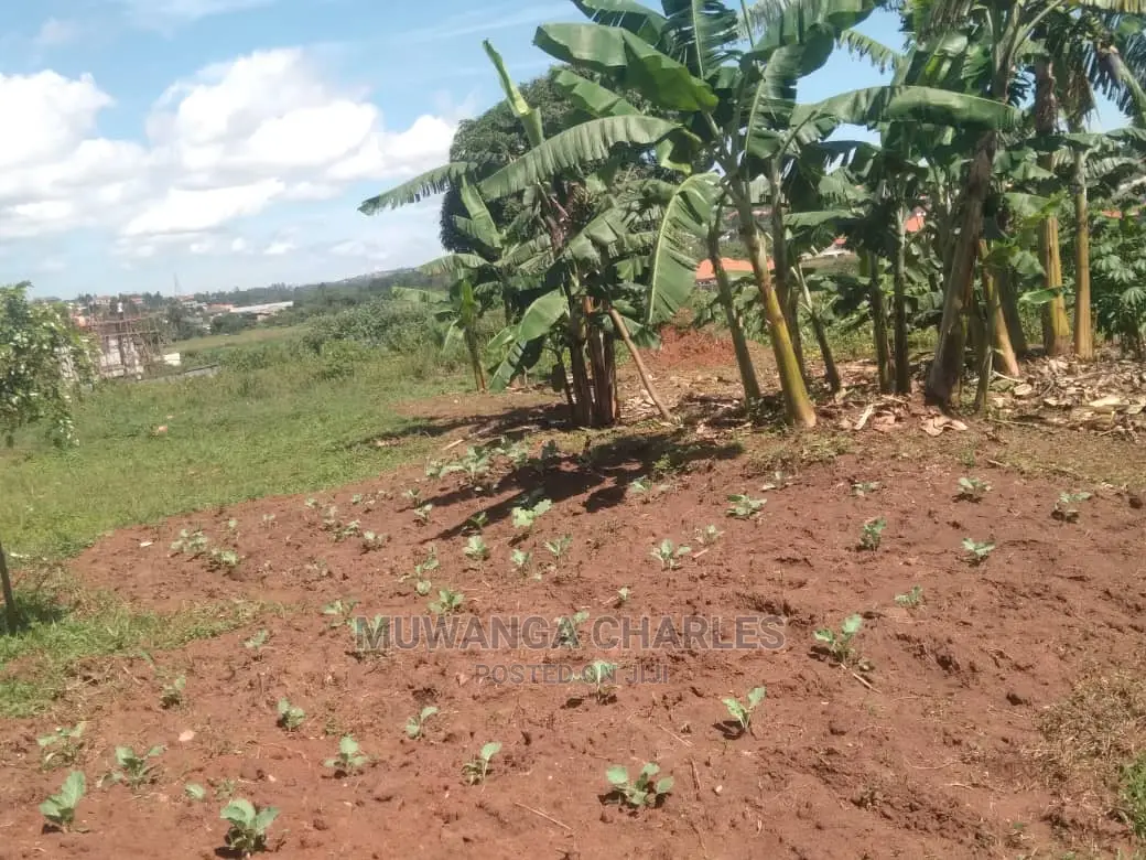 25decimals Plot for Sale at Kungu in Central Division
