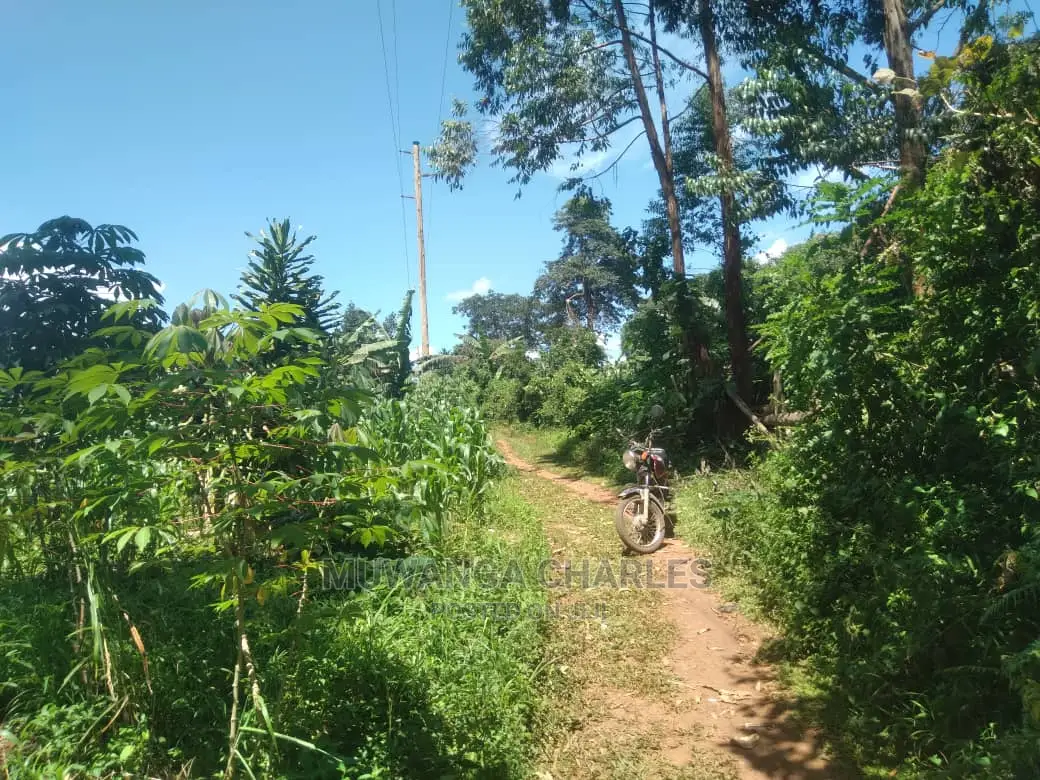 1acre of Land Available for Sale at Busukuma in Central Division
