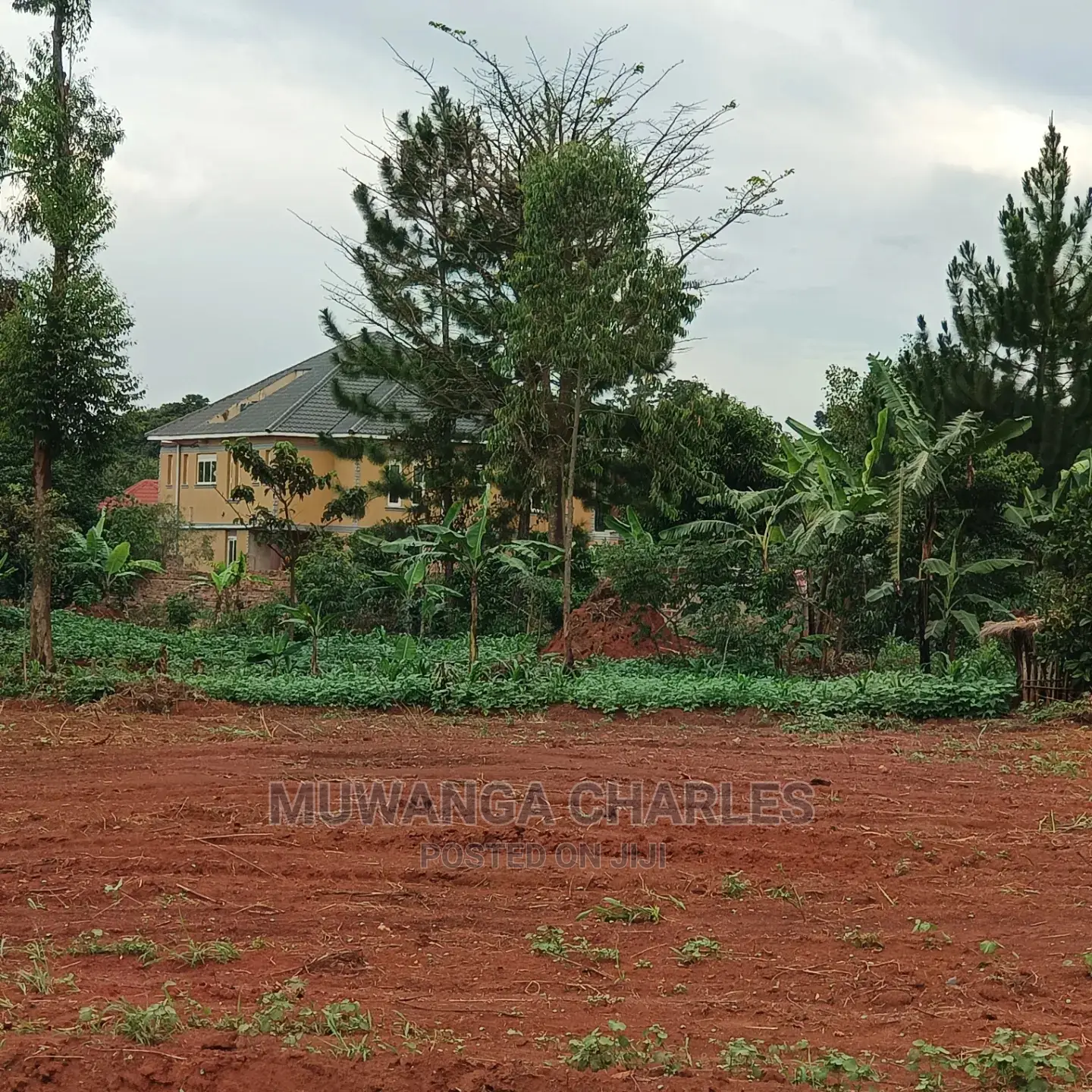 50by100ft Plot for Sale at Nakwero in Central Division