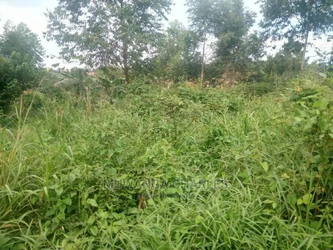 50by100ft Plot for Sale at Nakwero in Central Division