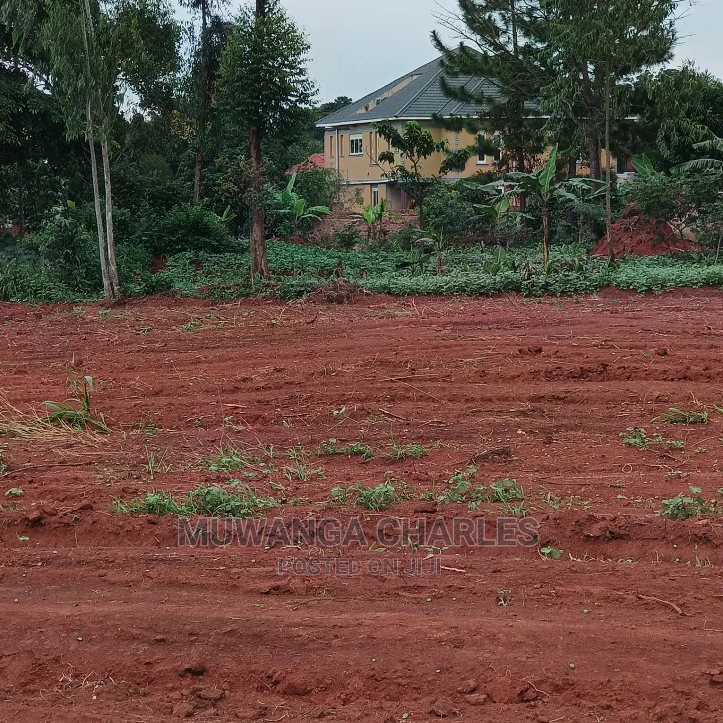 50by100ft Plot for Sale at Nakwero in Central Division