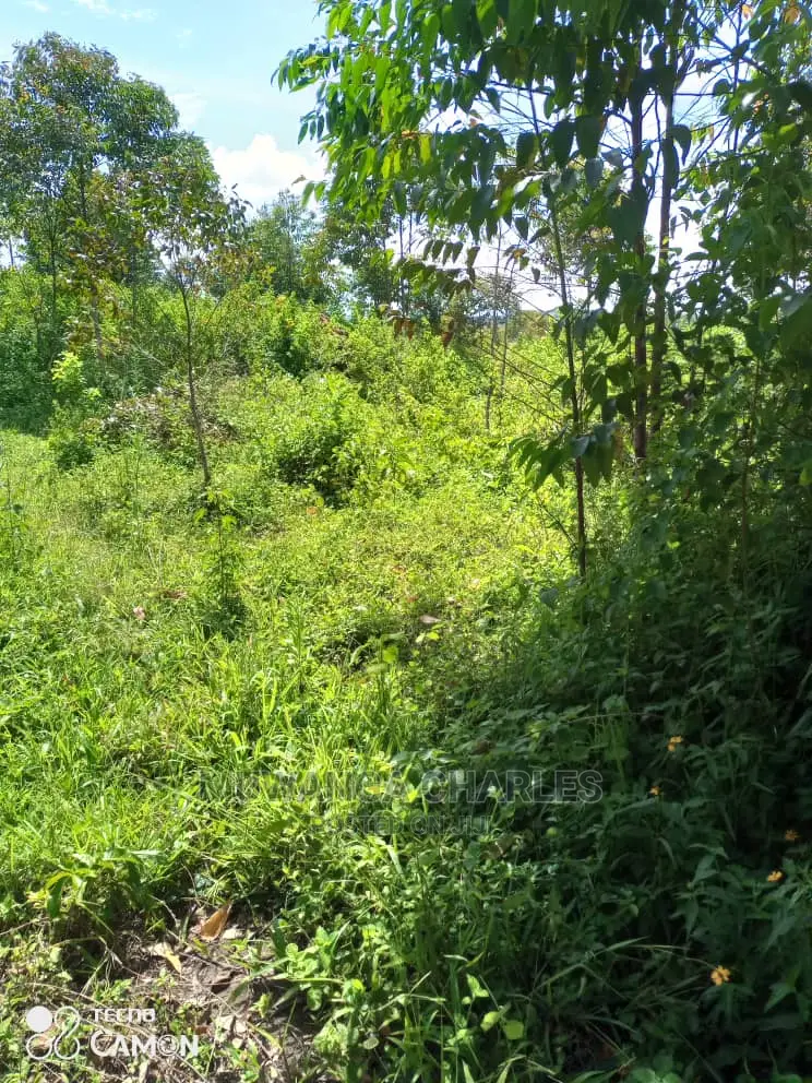 10acres of Land for Sale at Nakasongla in Central Division
