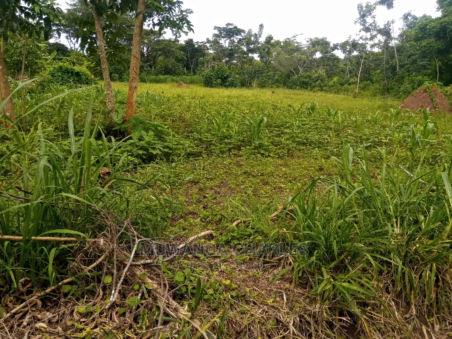 10acres of Land for Sale at Nakasongla in Central Division