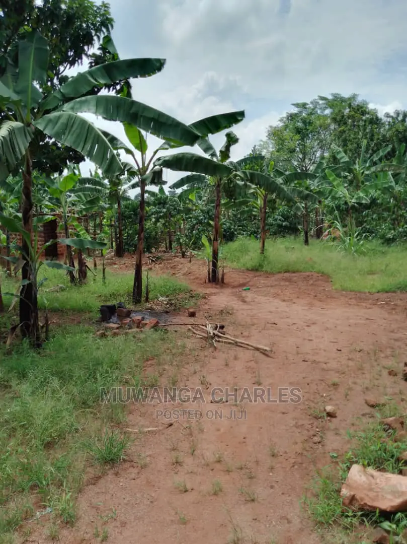 Plot Available for Sale at Kiwenda in Central Division