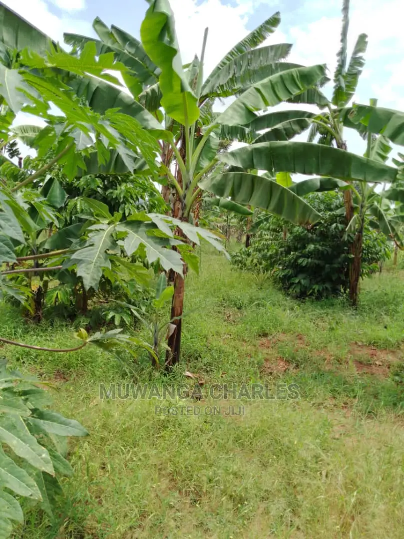 Plot Available for Sale at Kiwenda in Central Division