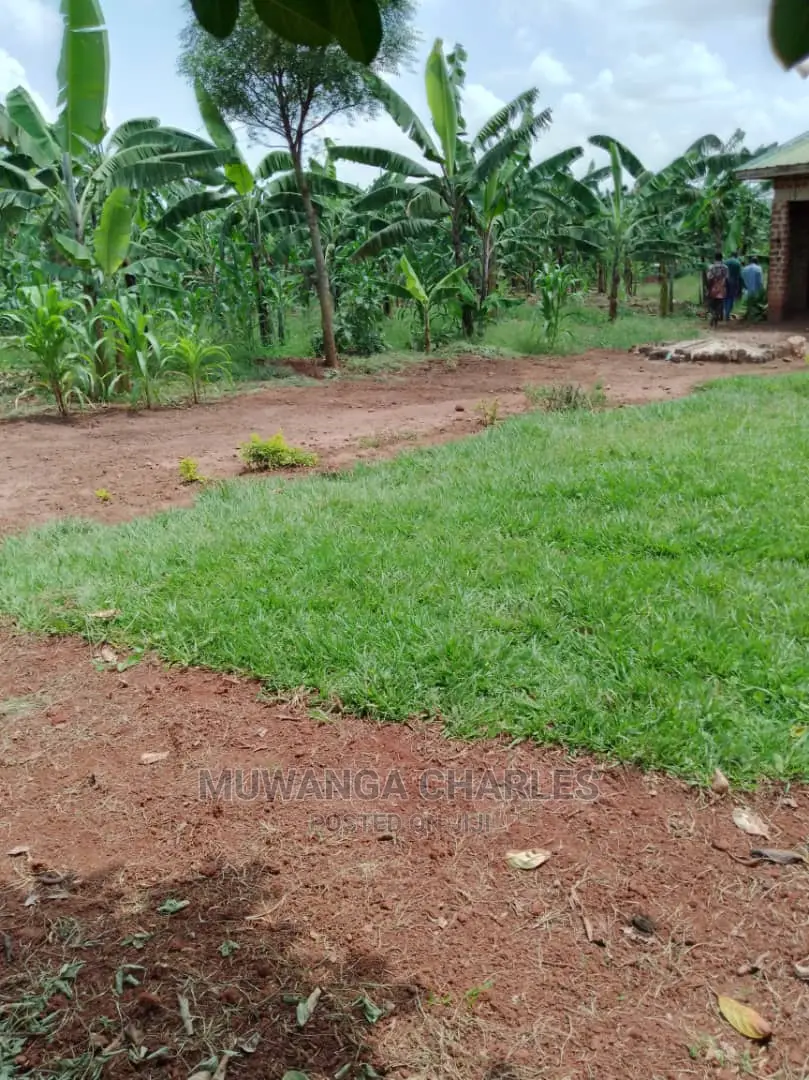 Plot Available for Sale at Kiwenda in Central Division